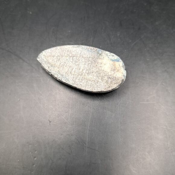 Copied - Orthoceras Fossil, 370 Million Years Old - Picture 4 of 5